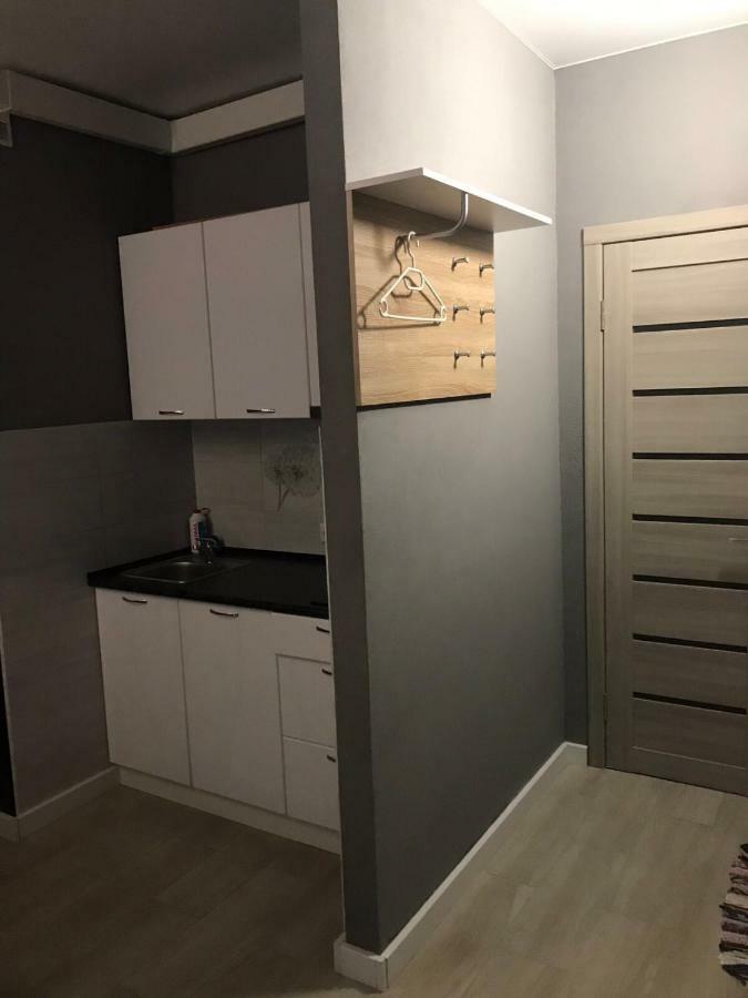 Смарт Квартира Apartment Kryzhanivka Ngoại thất bức ảnh